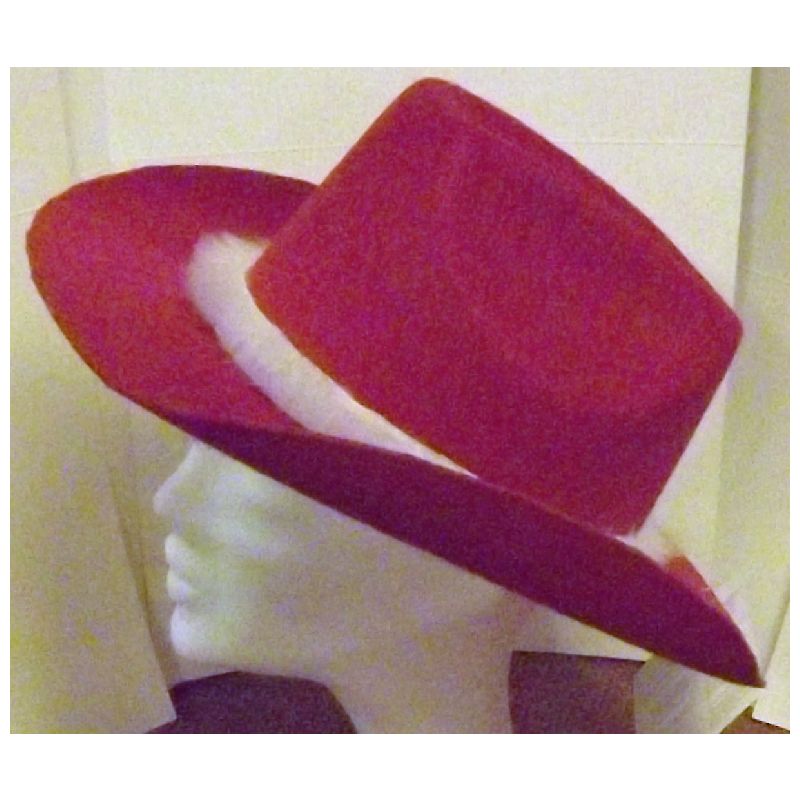 Cowboy hat i rød filt med lys